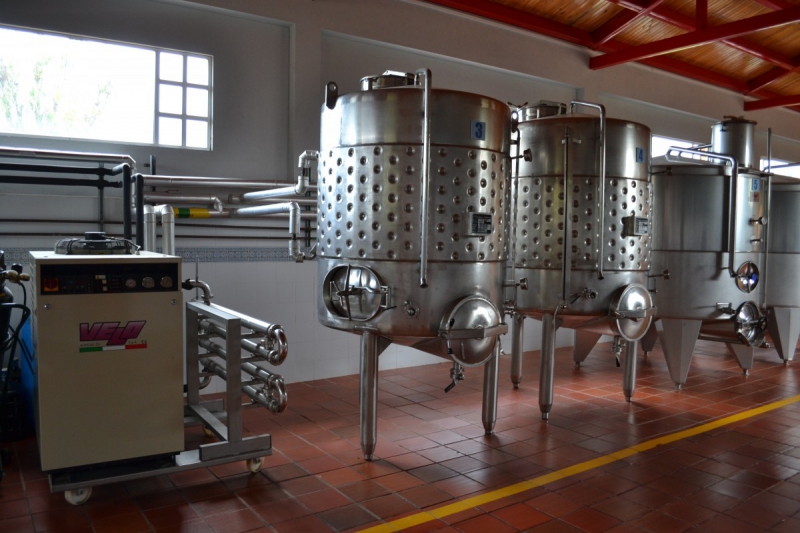 cave-VILLENEUVE D ENTRAUNES-min_wine_production_cantine_winery_drink_alcohol_vine_beverage-902036